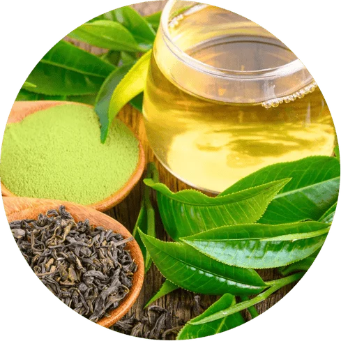 L-Theanine for Calm Focus and Relaxation